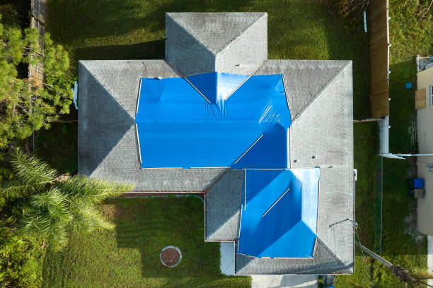 Best Roof Insulation Installation  in Hillsboro, KS