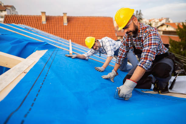 Best Gutter Installation and Repair  in Hillsboro, KS