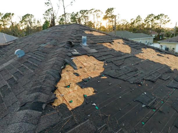 Best Roof Moss and Algae Removal  in Hillsboro, KS